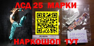индика Кандалакша