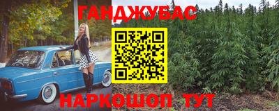 индика Кандалакша