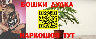 индика Кандалакша