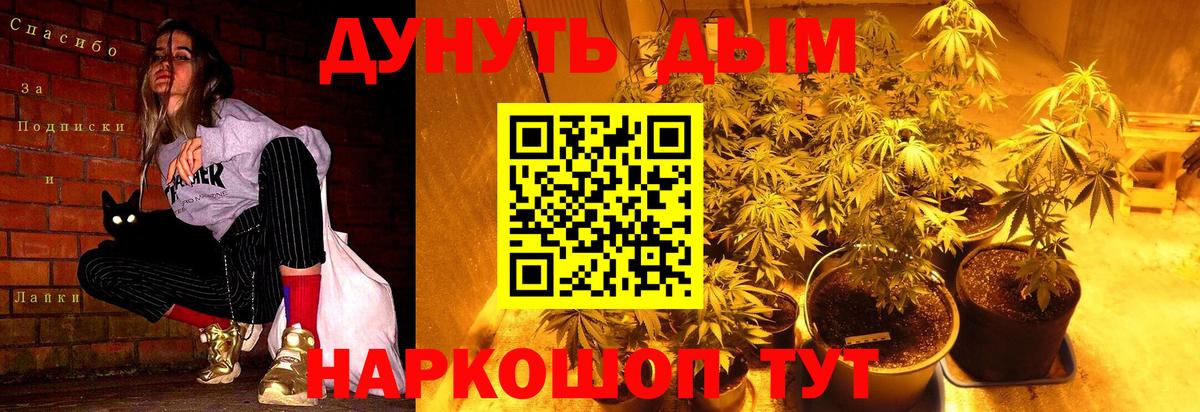 Бошки Шишки план  Вход с VPN  Губкин  МАРИХУАНА тримм 